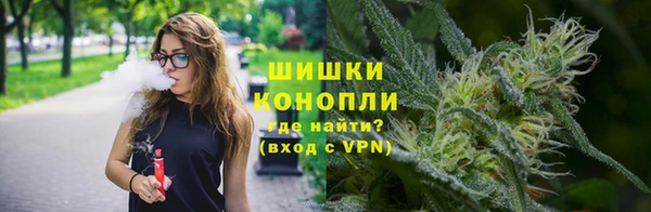 индика Вяземский