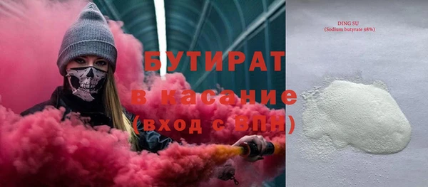 индика Вяземский