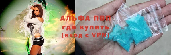 индика Вяземский