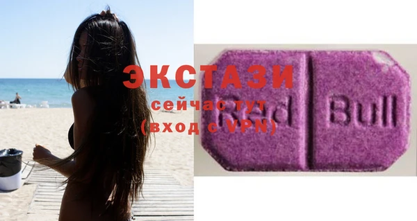индика Вяземский