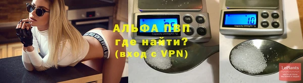 индика Вяземский
