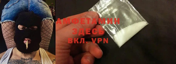 индика Вяземский