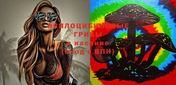 индика Вяземский