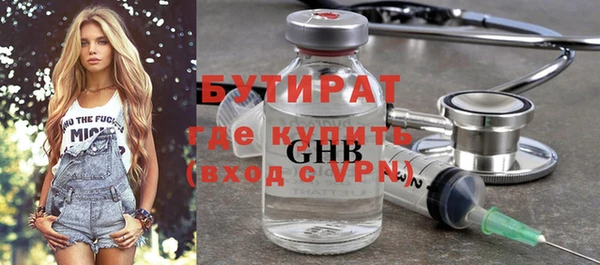 индика Вяземский