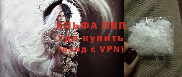 индика Вяземский