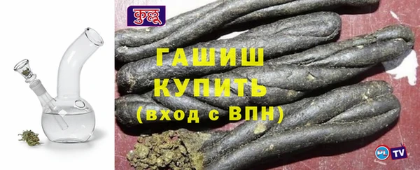 индика Вяземский