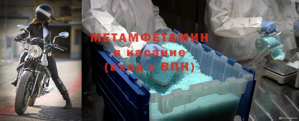 индика Вяземский